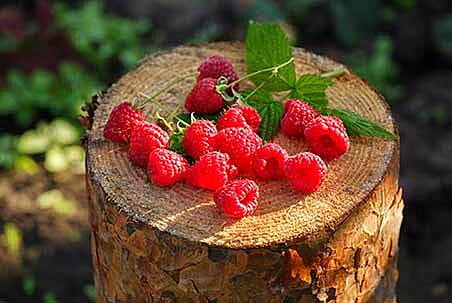 Berries