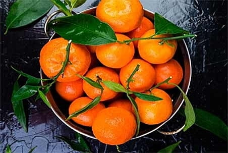 Citrus Citrus