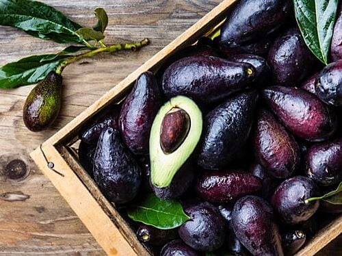 Avocados Avocados