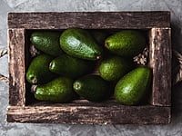 Avocado Hass Avocado Hass