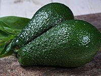 Avocado Hass Avocado Hass