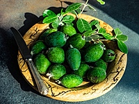 Feijoa Feijoa