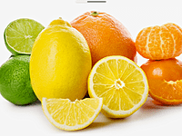 Lemon Eureka Seedless Lemon Eureka Seedless