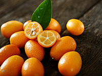 Meiwa kumquat Meiwa kumquat