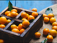 Meiwa kumquat Meiwa kumquat