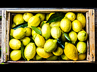 Mediterranean Sweet Orange Mediterranean Sweet Orange