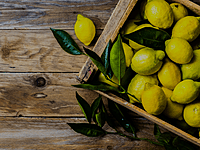 Mediterranean Sweet Orange Mediterranean Sweet Orange