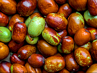 Janerik Janerik