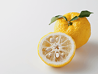 Yuzu Citrus 45 litre Yuzu Citrus 45 litre