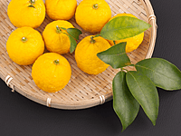 Yuzu Citrus 45 litre Yuzu Citrus 45 litre