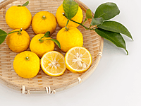 Yuzu Citrus 45 litre Yuzu Citrus 45 litre
