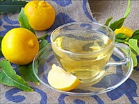 Bergamot Bergamot