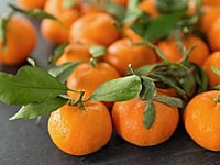 Imperial Mandarin Imperial Mandarin