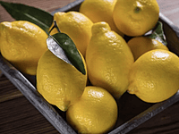Eureka Lemon Eureka Lemon